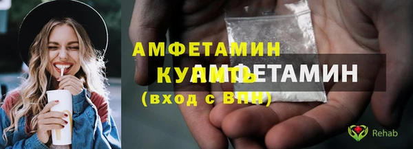 крисы Корсаков