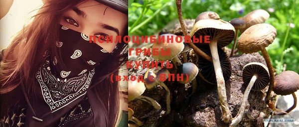 PSILOCYBIN Костерёво