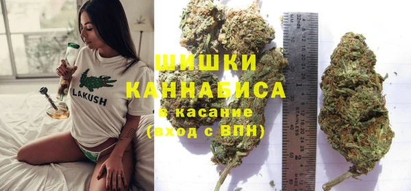 PSILOCYBIN Костерёво