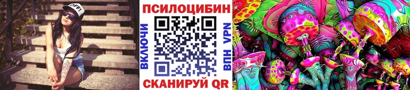 Галлюциногенные грибы мицелий  Купить закладки  Великий Новгород 