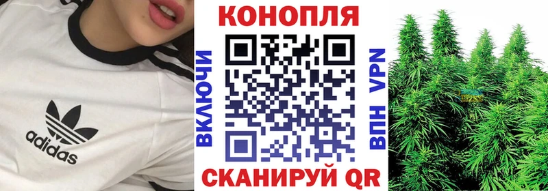 Каннабис VHQ  Купить закладки  Великий Новгород 